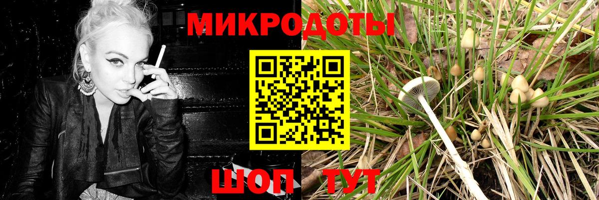 Псилоцибиновые грибы Psilocybine cubensis Артёмовский