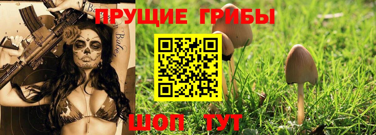 Галлюциногенные грибы мухоморы  Галлюциногенные грибы Magic Shrooms  где купить наркотик  Вход с VPN  Артёмовский 